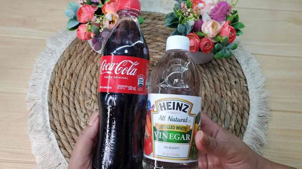 Mezcla estos 2 ingredientes, valen oro en la limpieza del hogar – Mis Consejos Jardinería