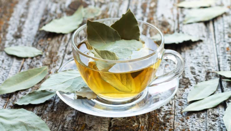 Té de hierbas con hojas de laurel