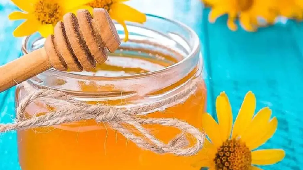 ¿Se ha endurecido tu miel? El truco brillante para hacerlo líquido fácilmente – Mis Consejos Jardinería