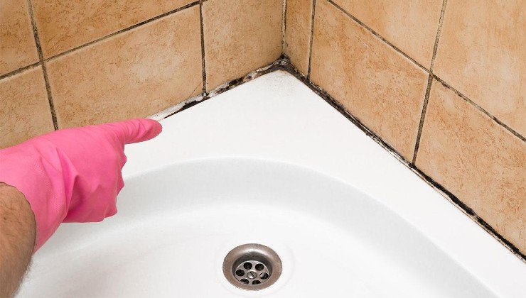 Moho en las esquinas de la ducha.