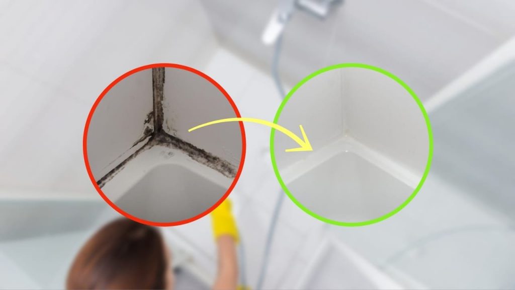 Molesto moho negro en las esquinas de la ducha: así es como se elimina en 5 minutos – Mis Consejos Jardinería