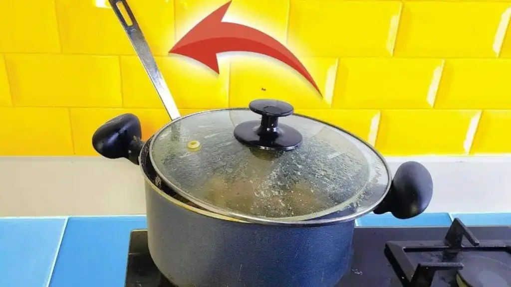 Dejar el cucharón en la sartén es una muy mala idea. este es el por qué – Mis Consejos Jardinería