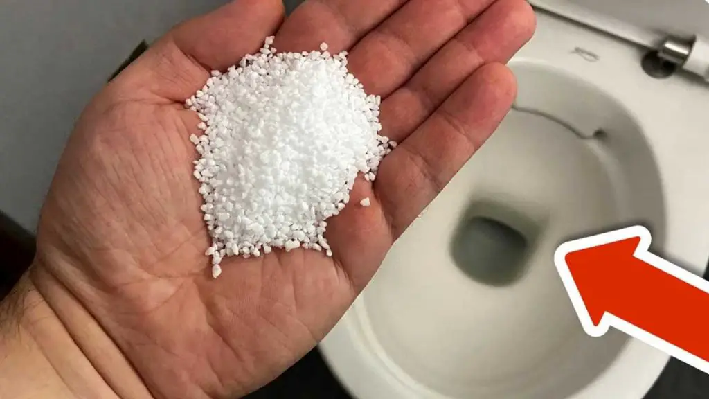 Baño siempre limpio y nunca atascado, este es el secreto de los fontaneros – Mis Consejos Jardinería