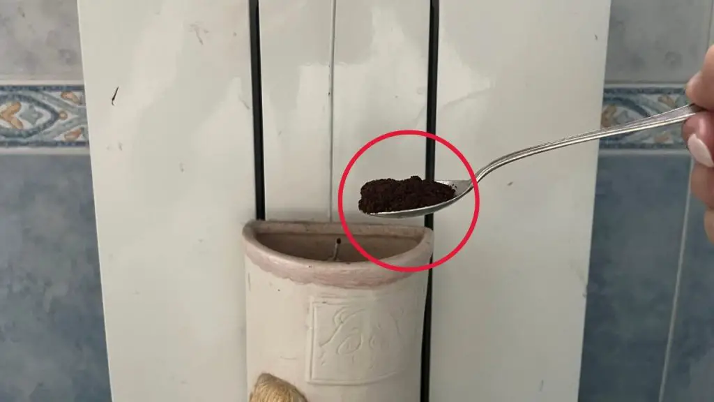Radiador, solo 1 cuchara en el humidificador: un hogar muy perfumado en un santiamén – Mis Consejos Jardinería