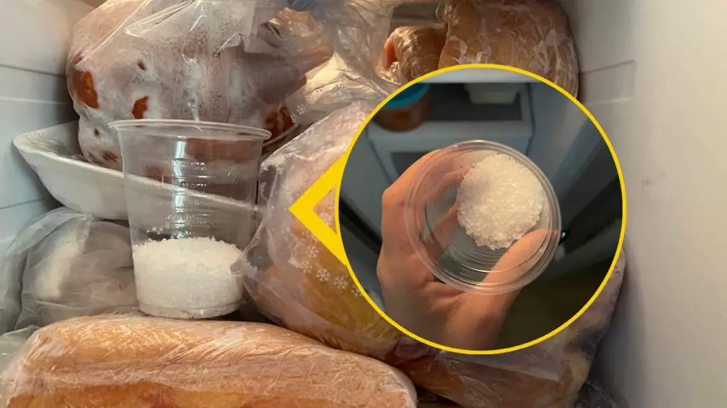 Deja un vaso de sal gruesa en el congelador: ahorra en la factura – Mis Consejos Jardinería