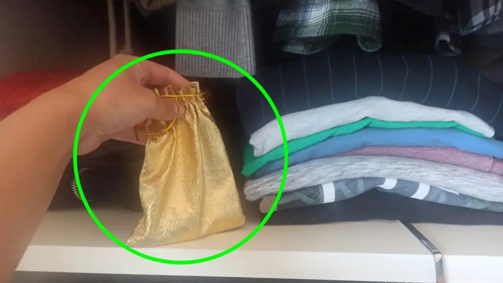 Pon esta bolsa de SAL en el ARMARIO, resolverás uno de los mayores problemas – Mis Consejos Jardinería