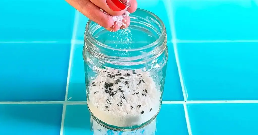 ¡Dile adiós a la humedad y a los malos olores con el absorbente de humedad perfumado hágalo usted mismo – Mis Consejos Jardinería