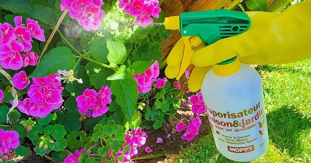 4 formas de preparar un antiáfido natural con bicarbonato de sodio – Mis Consejos Jardinería