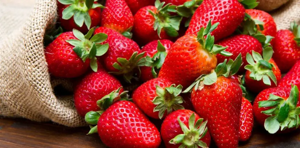 5 consejos para tener hermosas fresas en tu jardín – Mis Consejos Jardinería