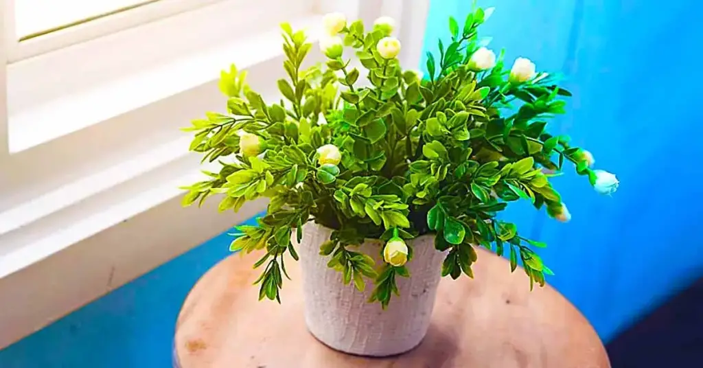 5 plantas que es bueno tener en primavera: son fáciles de mantener y perfuman la casa – Mis Consejos Jardinería