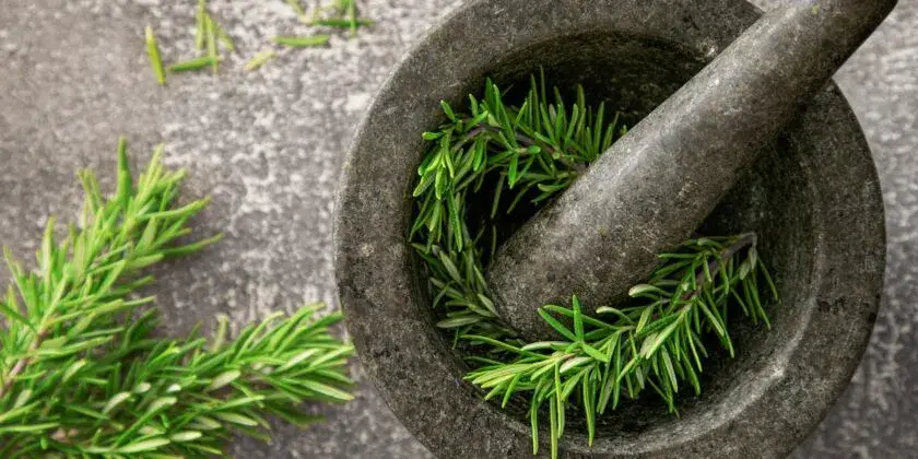Además de aromatizar el aceite y la sal, prueba hoy a utilizar el romero de estas 7 formas muy efectivas. ¡Ya no podrás prescindir de él!