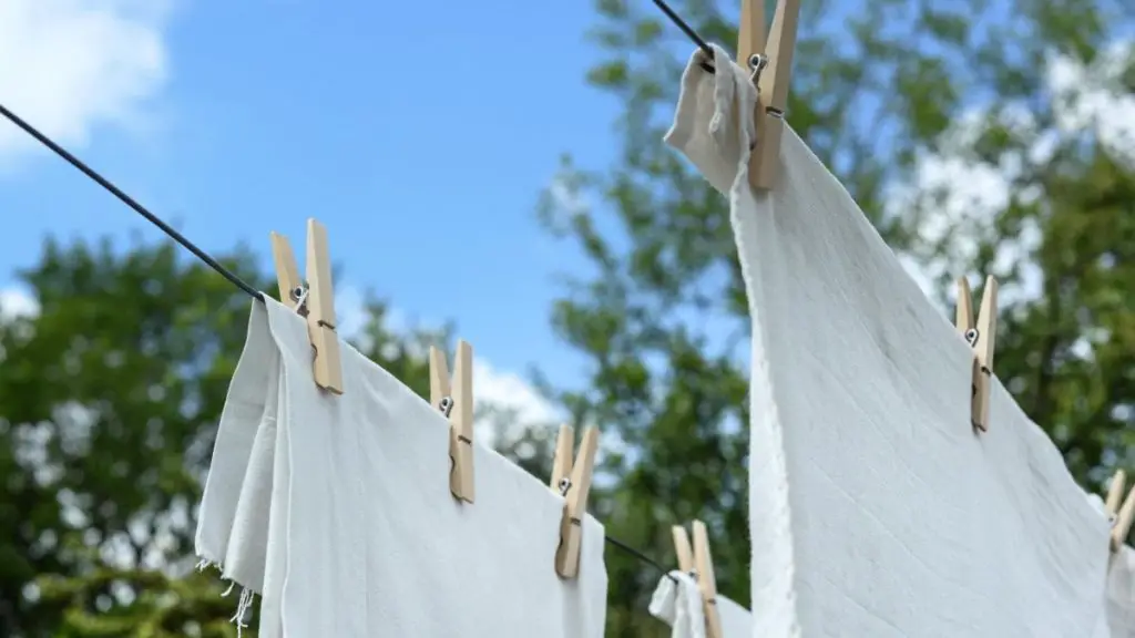 Adiós hojas arrugadas: así es como se colocan para resolver el problema – Mis Consejos Jardinería