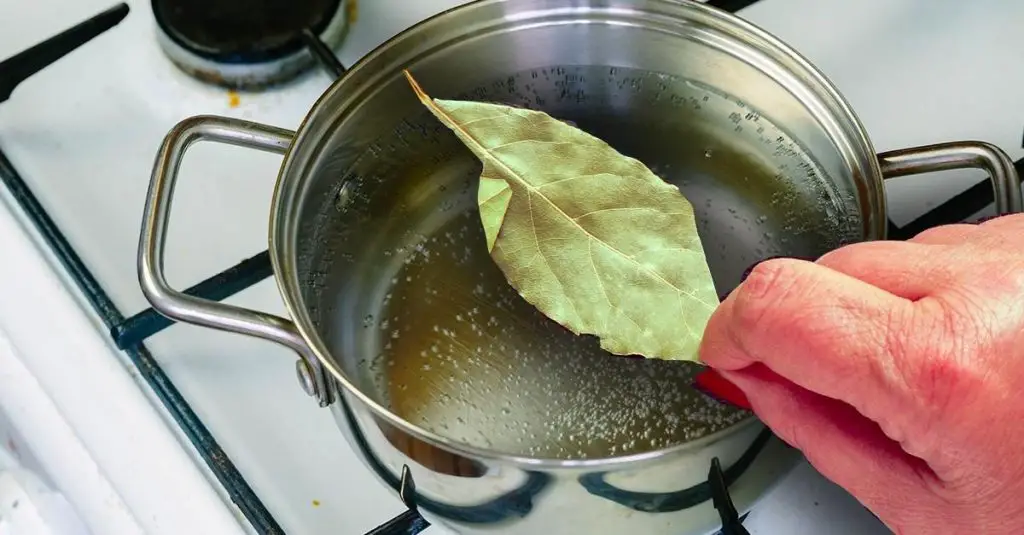 Adiós pestes en la casa: unas hojas para perfumar todas las estancias – Mis Consejos Jardinería