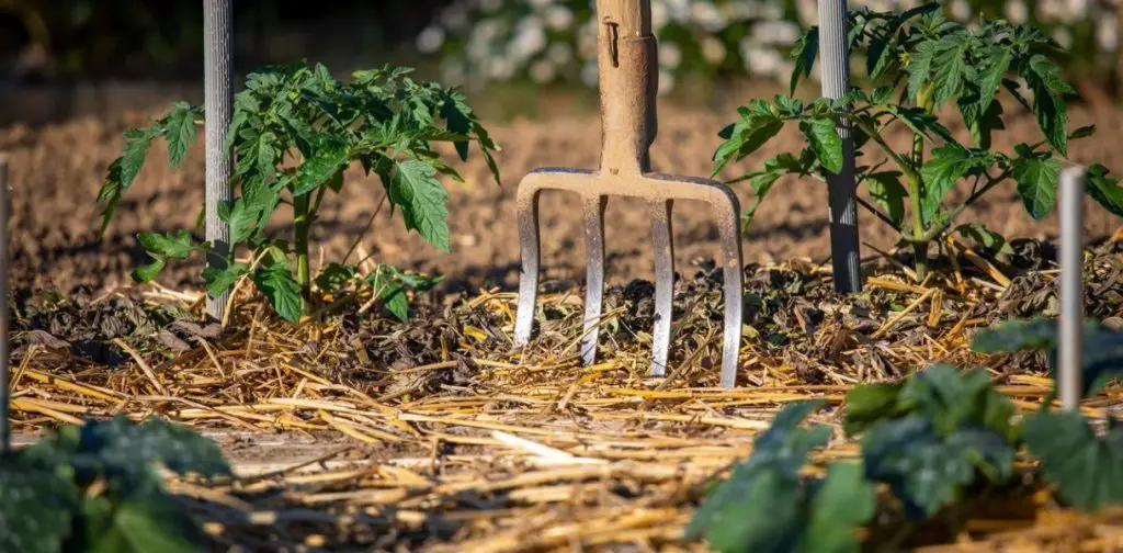 Airear la tierra en el jardín: las herramientas imprescindibles para trabajar la tierra – Mis Consejos Jardinería