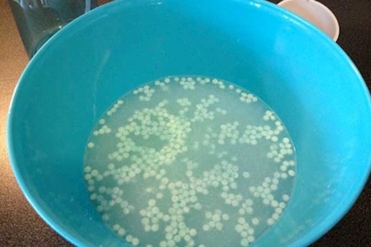 Ambientador casero con 3 ingredientes: su aroma durará días en sofás, cortinas y prendas que sepan a moho – Mis Consejos Jardinería