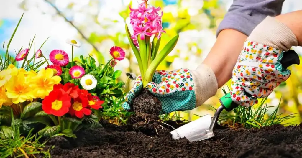Aquí hay 4 plantas con flores para plantar en abril para decorar tu jardín o balcón. – Mis Consejos Jardinería