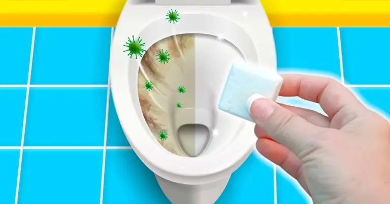 Aquí se explica cómo hacer tabletas caseras para que el inodoro brille. – Mis Consejos Jardinería