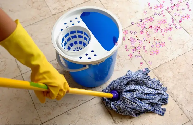 Así es como preparo mi fregadora de suelos: sencilla y económica. ¡Ya puedes olerlo desde las escaleras! – Mis Consejos Jardinería