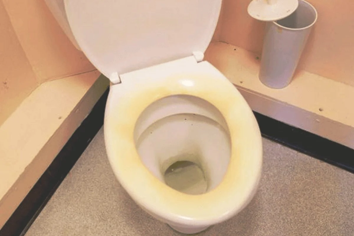Asiento de inodoro amarillento, con respaldo de 2 ingredientes blanco y brillante