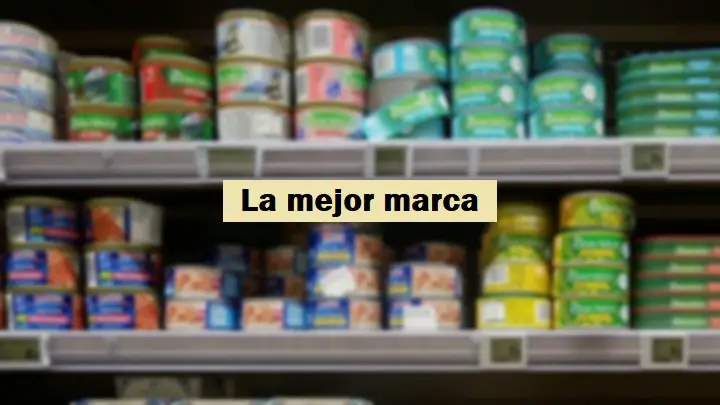 Atún en conserva, la mejor marca del mercado sin bisfenol: sólo 2 euros – Mis Consejos Jardinería