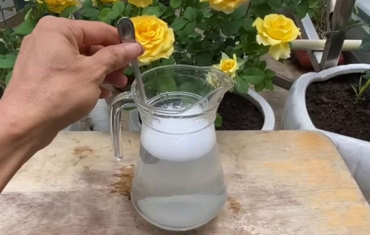 Mezcla de bicarbonato para plantas enfermas