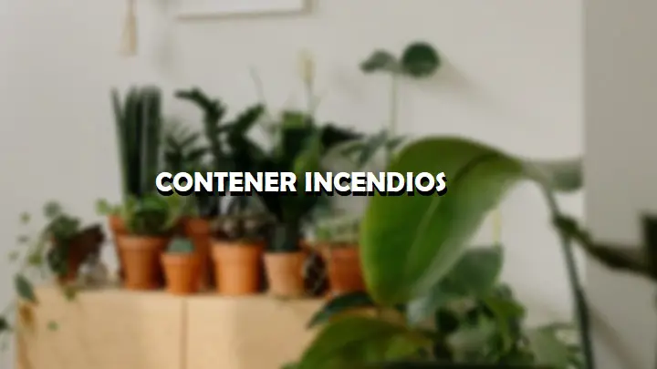 Bienaventurados los que tienen estas plantas en casa, contienen fuegos: salva en 1 momento – Mis Consejos Jardinería