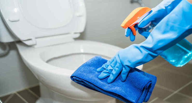 Blanquea los sanitarios del hogar en 1 minuto: elimina incluso todas las manchas indelebles – Mis Consejos Jardinería