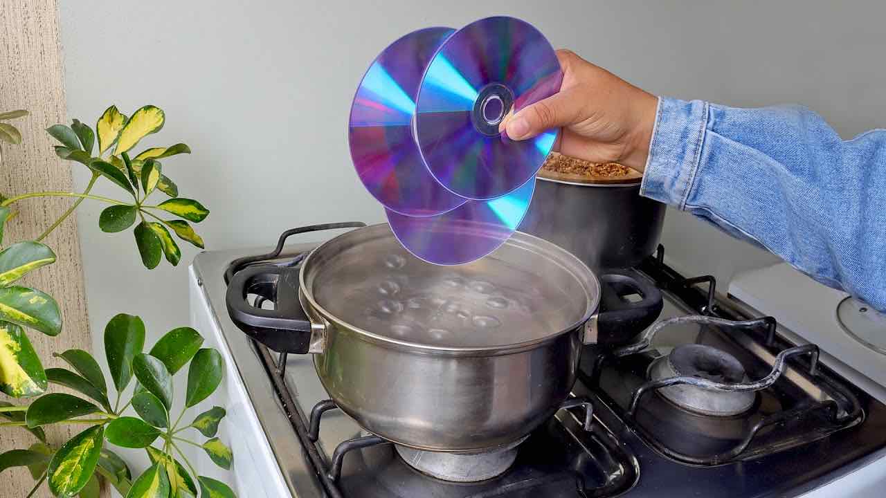 cd viejos
