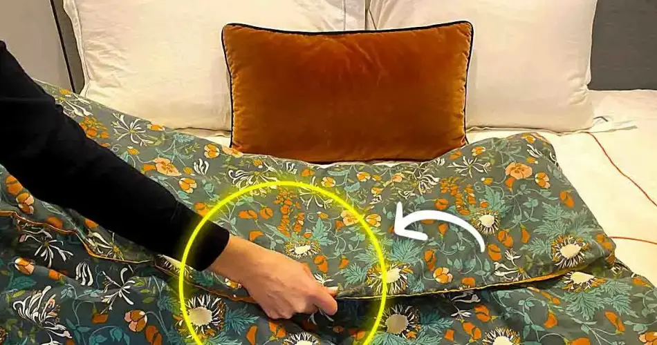 Calcetines, llénalos de sal y ponlos en la cama | ¡El truco de la abuela que te ahorrará dinero! – Mis Consejos Jardinería