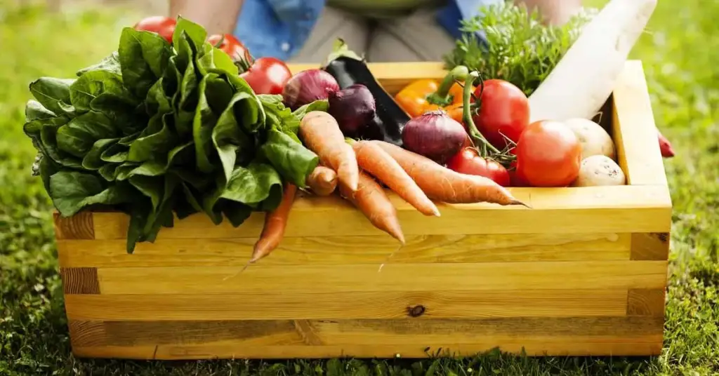 Calendario lunar del jardinero para el período del 18 al 24 de abril: ¿qué plantar y cuándo hacerlo? – Mis Consejos Jardinería