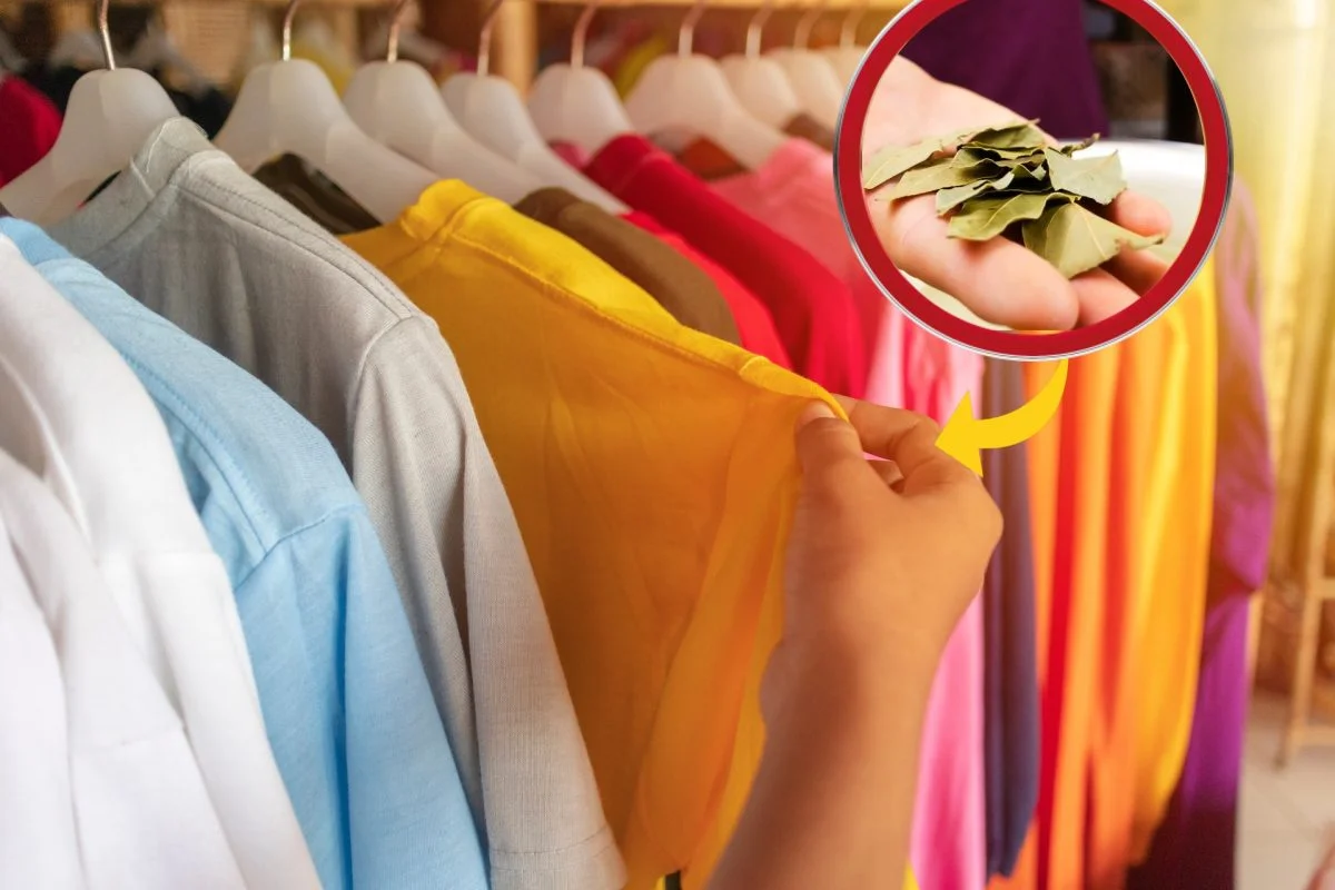 Camisetas coloridas: Con maquillaje de hojas, mis camisetas nunca se desteñían. ¡Así es como lo hago!