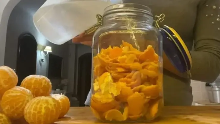 Cáscaras de mandarina: ponlas en un frasco con vinagre y verás qué resultados – Mis Consejos Jardinería