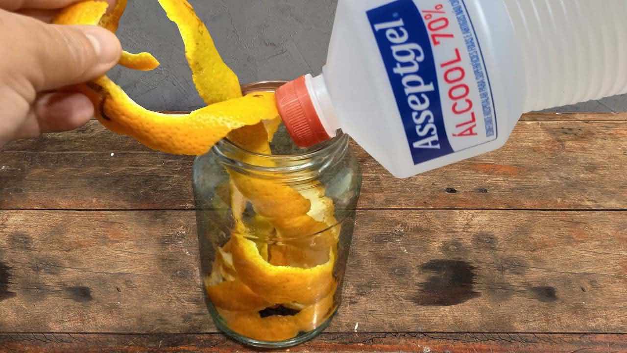Cáscaras de naranja en alcohol