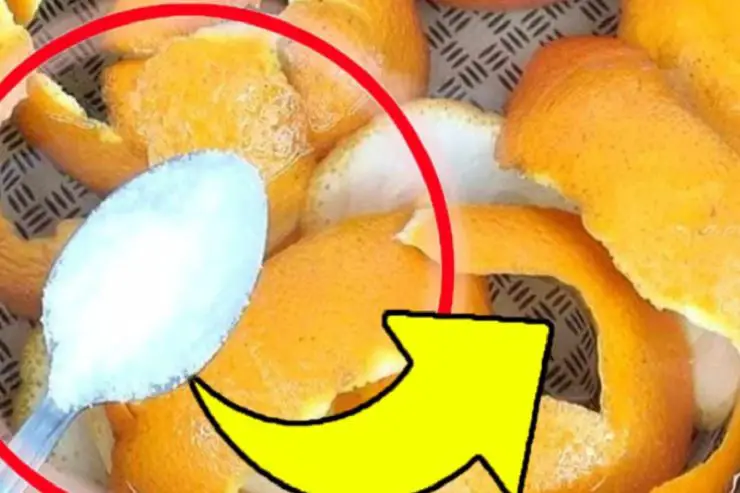 Cáscaras de naranja y sal: en casa valen su peso en oro si las usas así – Mis Consejos Jardinería