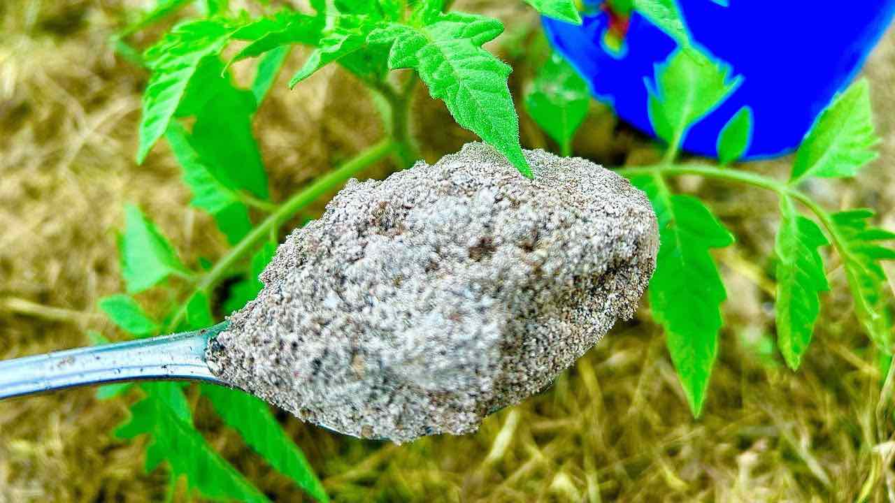 Bomba natural para plantas