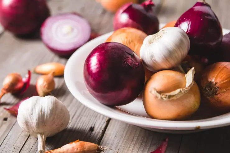 Cebolla y ajo: guárdalos de esta manera hasta por seis meses – Mis Consejos Jardinería