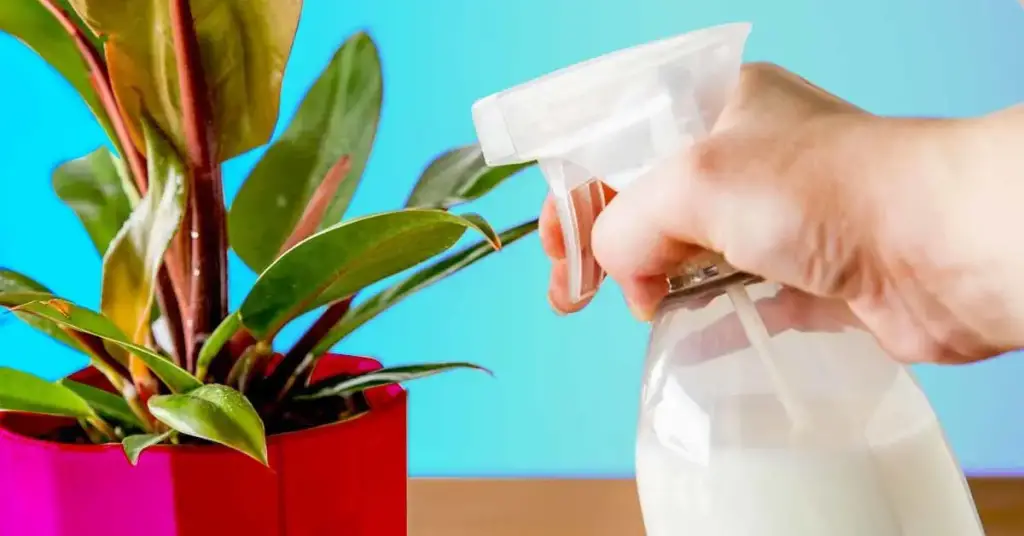 Cloruro de potasio: ¿cómo utilizarlo para potenciar el crecimiento de tus plantas? – Mis Consejos Jardinería