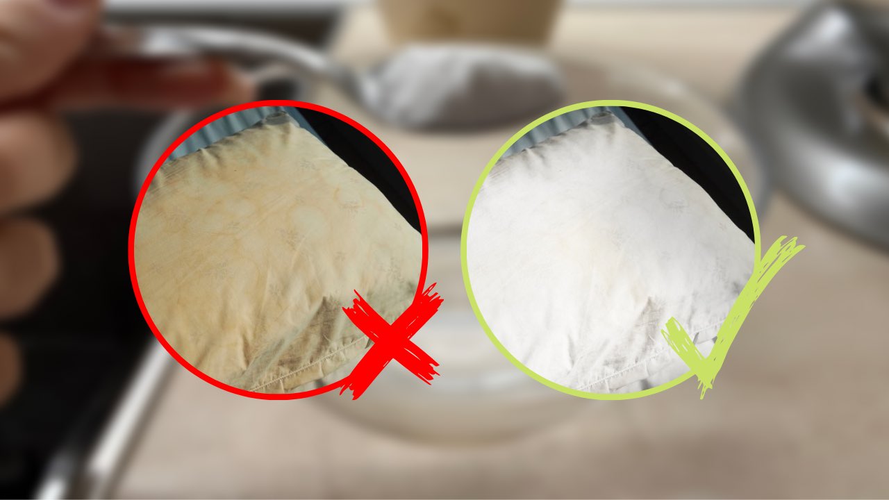 almohadas amarillentas