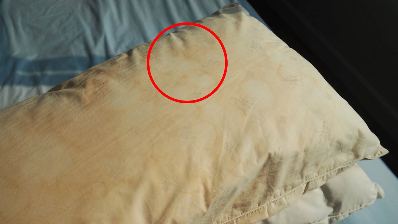 almohadas y colchones amarillentos