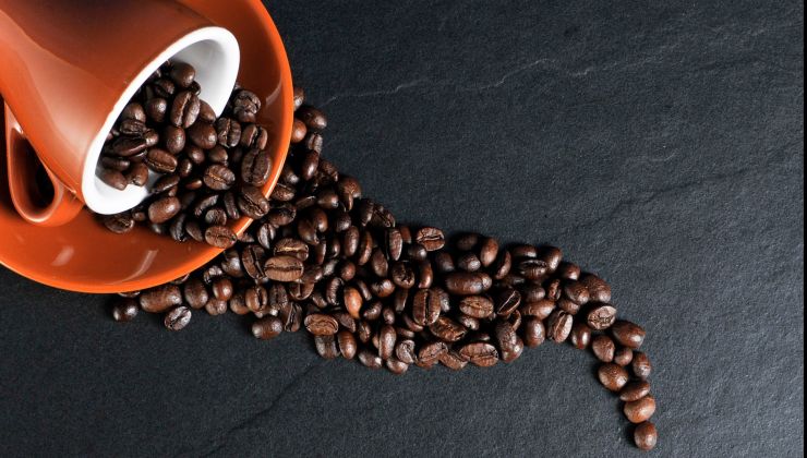 granos de café