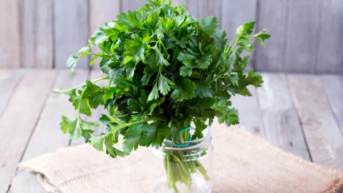 Cómo conservar el perejil: los trucos que realmente funcionan – Mis Consejos Jardinería