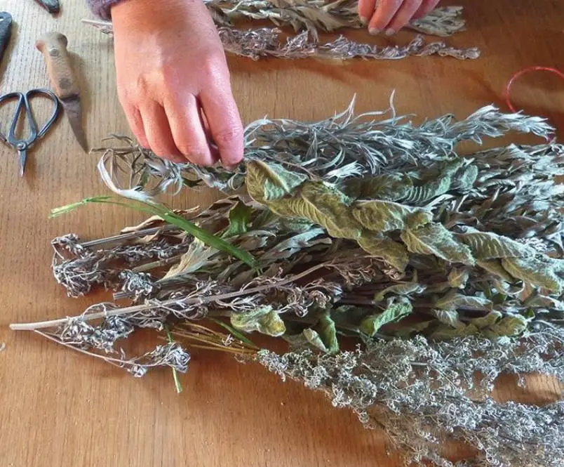 Cómo hacer la Vara de Salvia y Romero para purificar la casa – Mis Consejos Jardinería