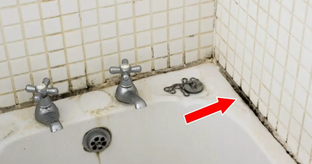 Cómo quitar el moho de la bañera – Mis Consejos Jardinería