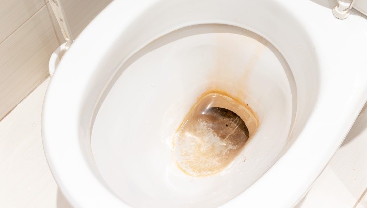 aquí está el método para limpiar el inodoro de la suciedad y la cal
