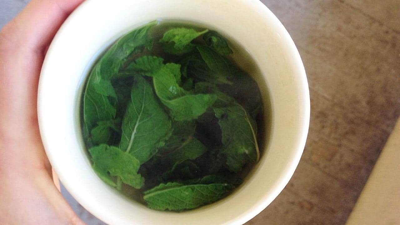 Menta nell’acqua