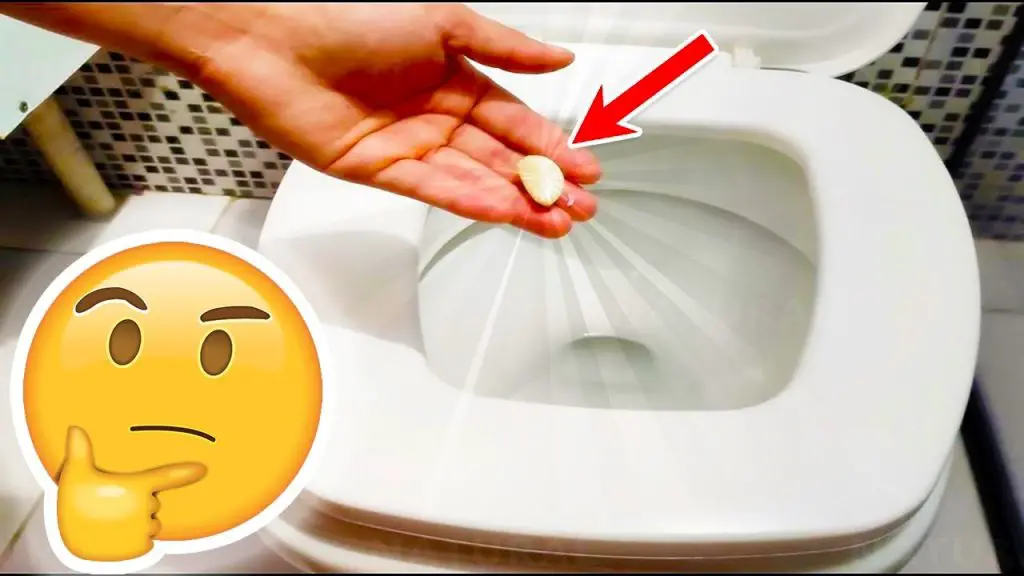 Cómo tener el inodoro siempre limpio con el truco del ajo – Mis Consejos Jardinería