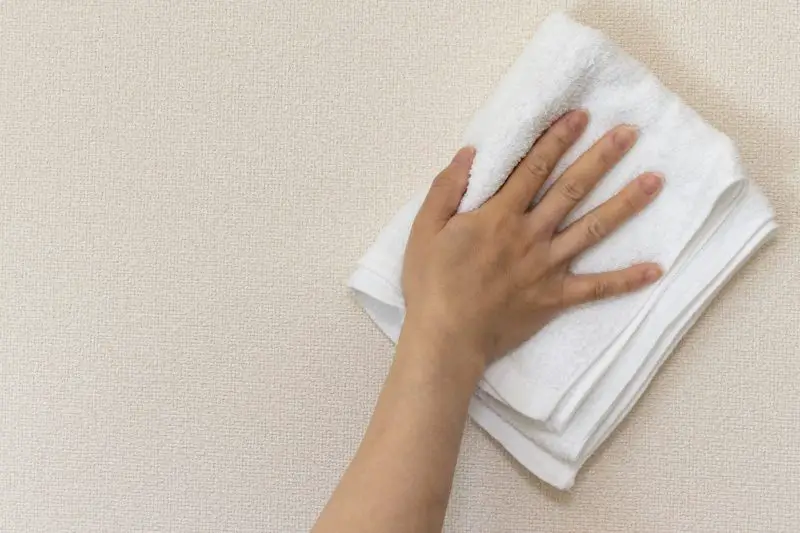 Con el método de la toalla limpio la casa en 5 minutos – Mis Consejos Jardinería