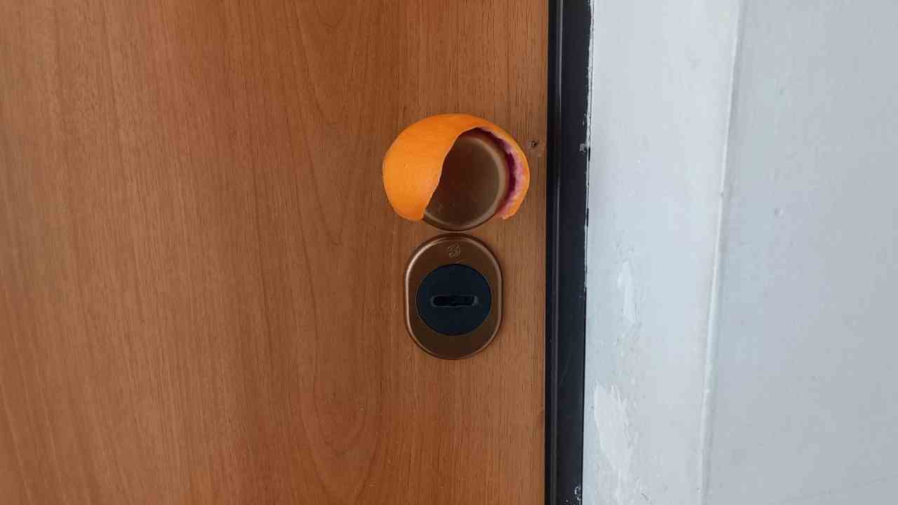 Perilla piel de naranja