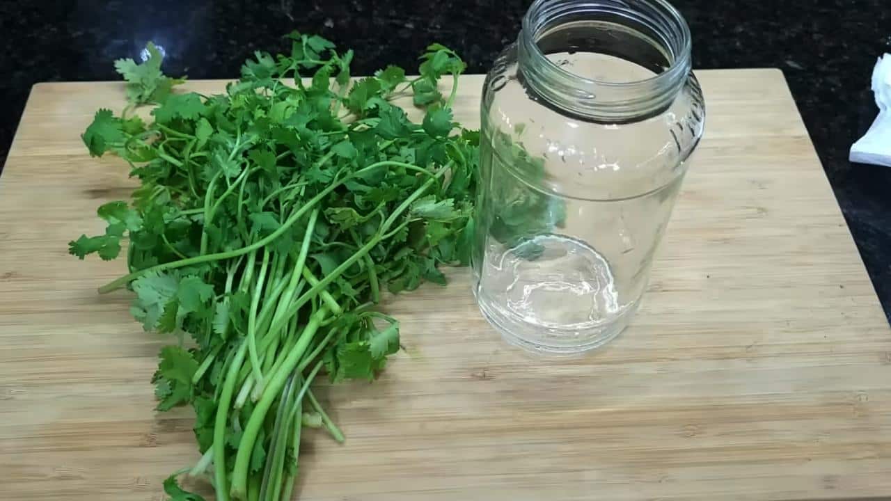 Perejil en olla
