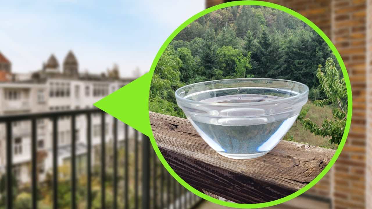 cuenco de agua
